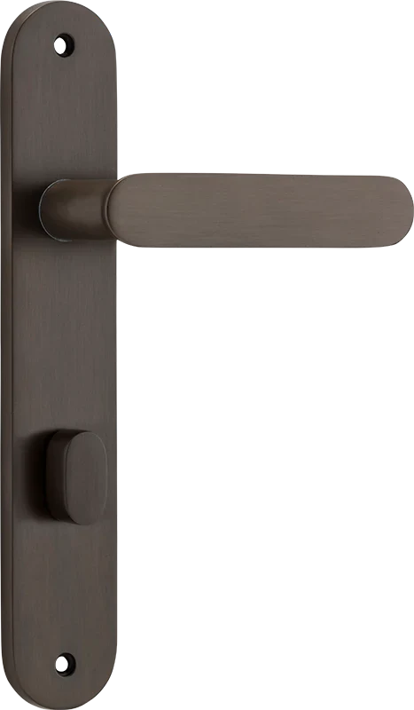 Bronte Lever - Oval Backplate - Entry Point - Iver - Signature Brass - Door Levers