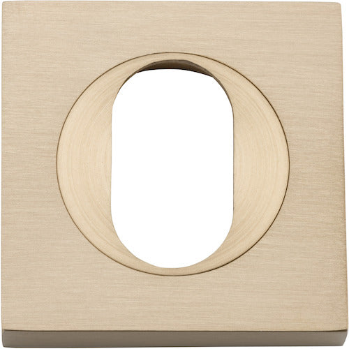 Oval Escutcheon - Square By Iver