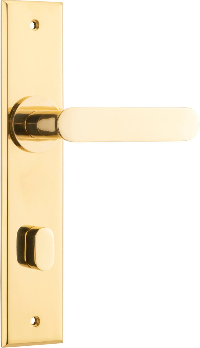 Bronte Lever - Chamfered Backplate - Entry Point - Iver - Polished Brass - Door Levers