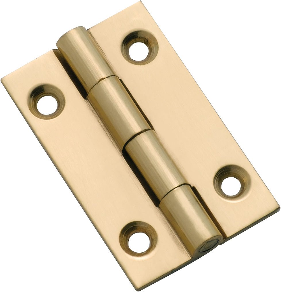 Fixed Pin Cabinet Hinge by Tradco - Entry - Point - 3751 - Tradco