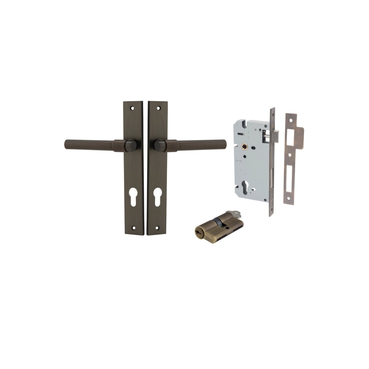 Helsinki Lever - Rectangular Backplate - Entry Point - Iver - Signature Brass - Door Levers